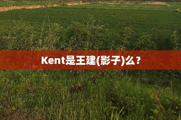 Kent是王建(影子)么？