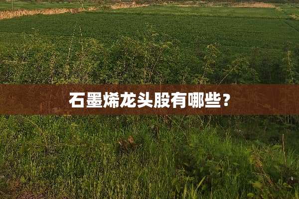 石墨烯龙头股有哪些？