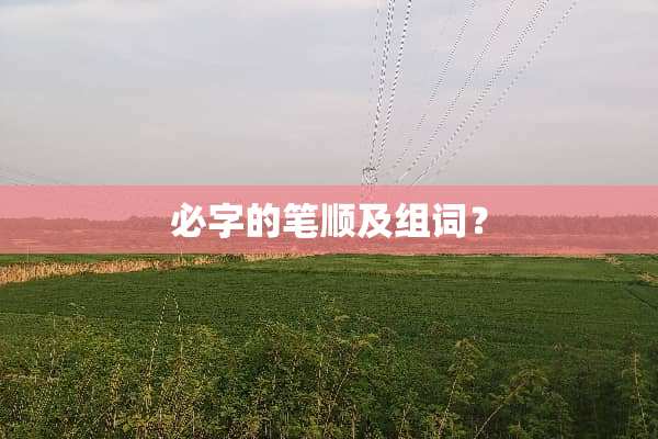 必字的笔顺及组词？