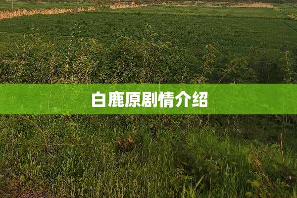 白鹿原剧情介绍