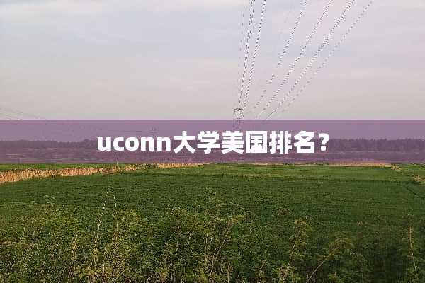 uconn大学美国排名？