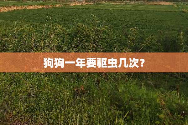 狗狗一年要驱虫几次？