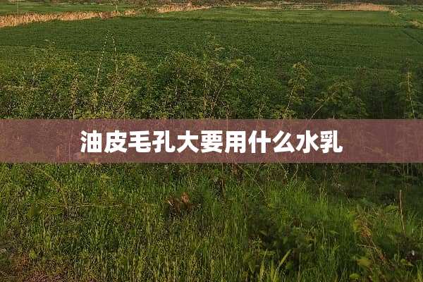油皮毛孔大要用什么水*