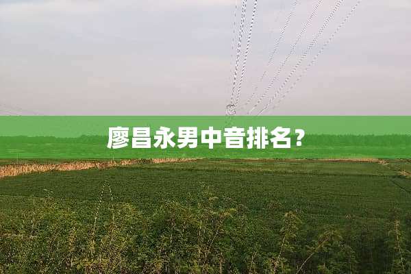 廖昌永男中音排名？