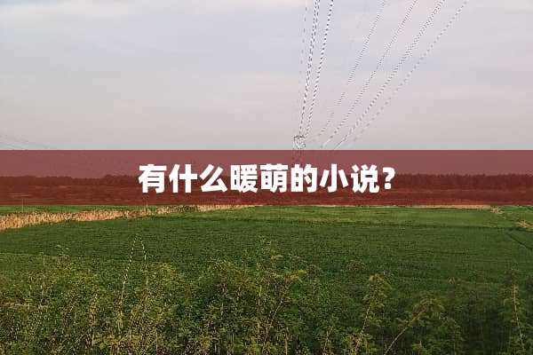 有什么暖萌的小说？