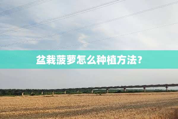 盆栽菠萝怎么种植方法？