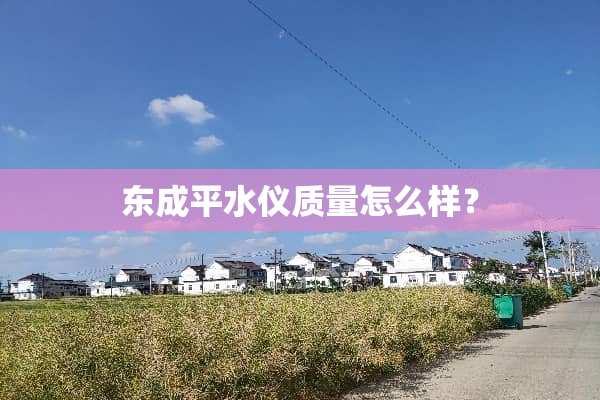 东成平水仪质量怎么样？