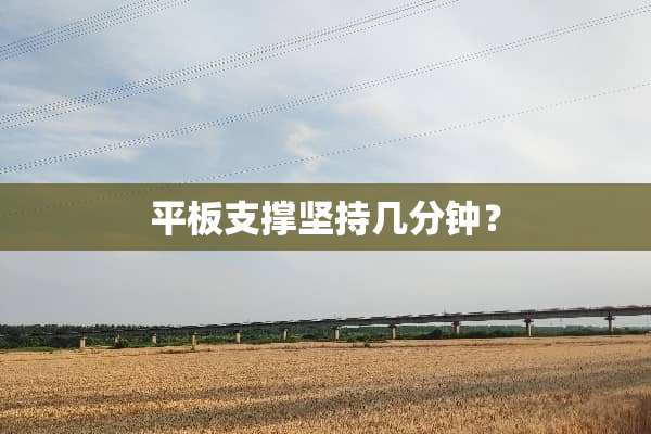 平板支撑坚持几分钟？