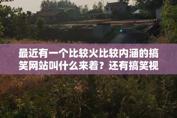 最近有一个比较火比较内涵的搞笑网站叫什么来着？还有搞笑视频看的？