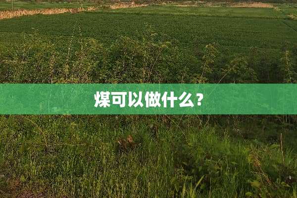 煤可以做什么？