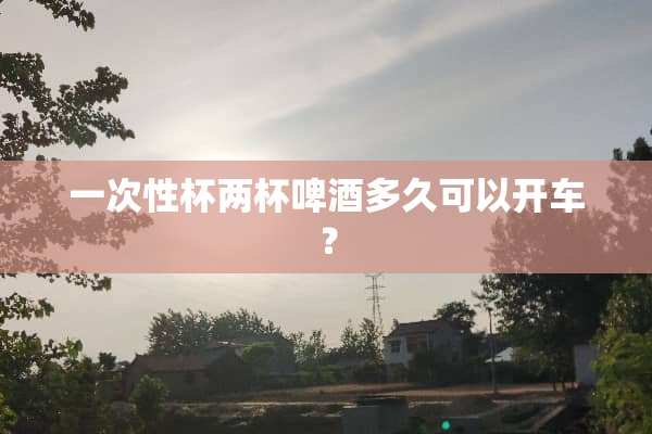 一次性杯两杯啤酒多久可以开车？