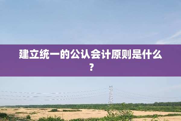 建立统一的公认会计原则是什么？