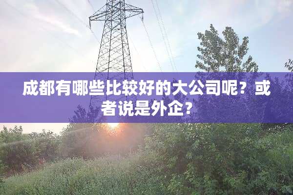 成都有哪些比较好的大公司呢？或者说是外企？