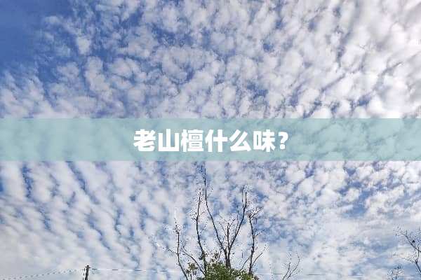 老山檀什么味？