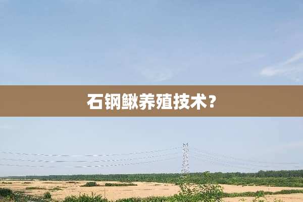石钢鳅养殖技术？