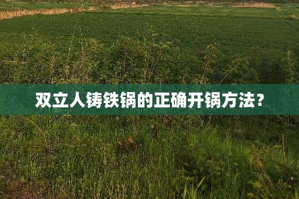 双立人铸铁锅的正确开锅方法？