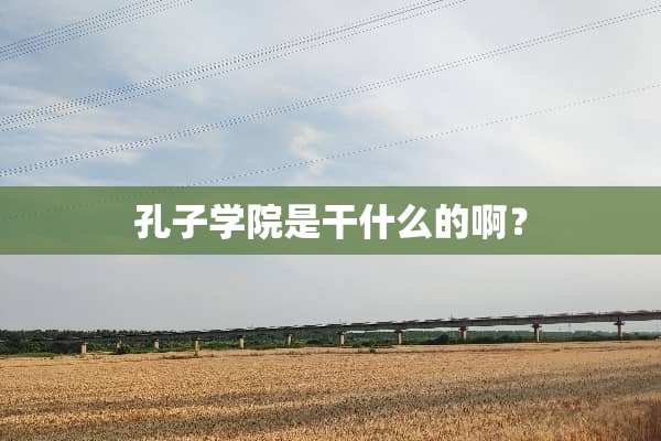 孔子学院是干什么的啊？