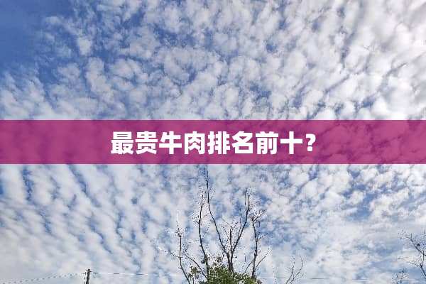 最贵牛肉排名前十？