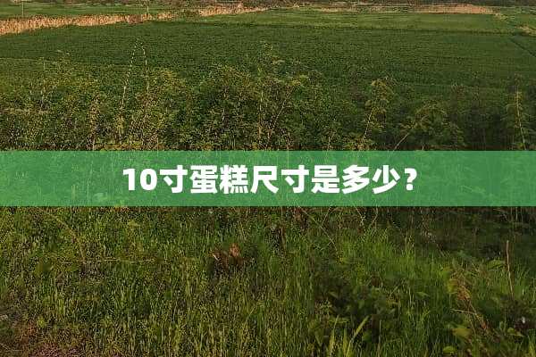10寸蛋糕尺寸是多少？