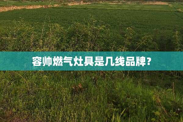 容帅燃气灶具是几线品牌？