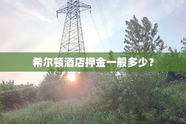 希尔顿酒店押金一般多少？