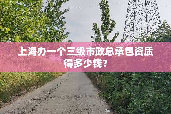 上海办一个**市政总承包资质得多少钱？