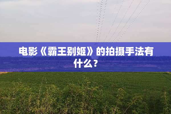 电影《**别姬》的拍摄手法有什么？