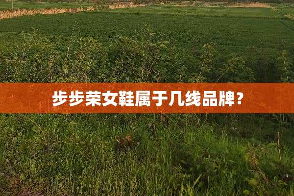 步步荣女鞋属于几线品牌？