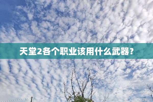 天堂2各个职业该用什么**？