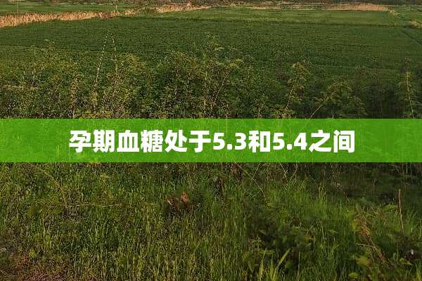 孕期血糖处于5.3和5.4之间