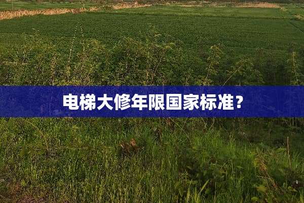 电梯大修年限国家标准？