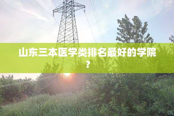 山东三本医学类排名最好的学院？