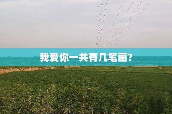 我爱你一共有几笔画？