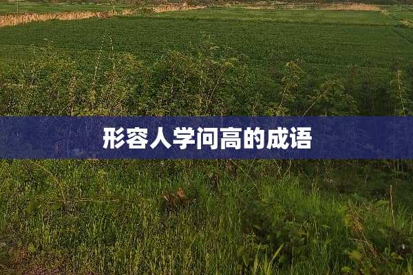 形容人学问高的成语