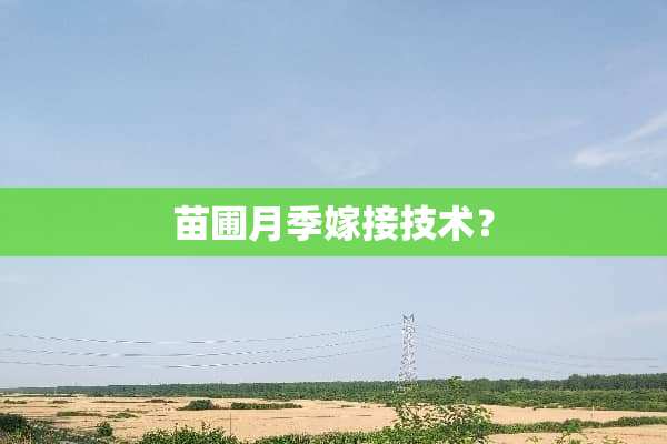 苗圃月季嫁接技术？