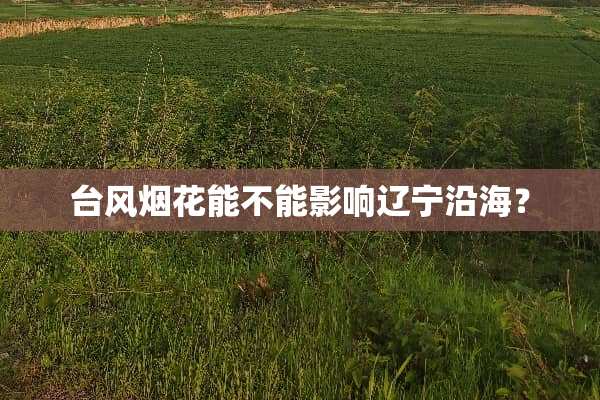 台风烟花能不能影响辽宁沿海？