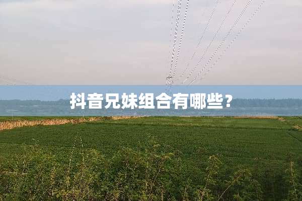 抖音兄妹组合有哪些？