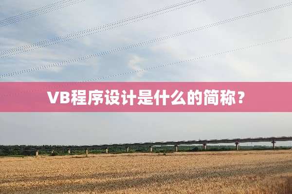 VB程序设计是什么的简称？