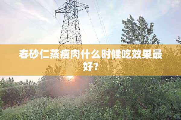 春砂仁蒸瘦肉什么时候吃效果最好？