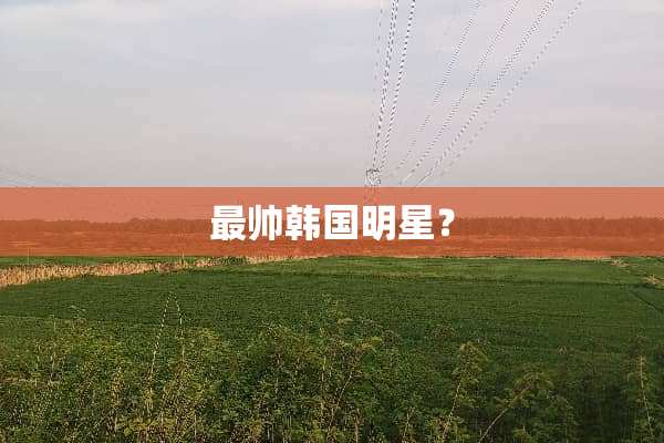 最帅韩国明星？