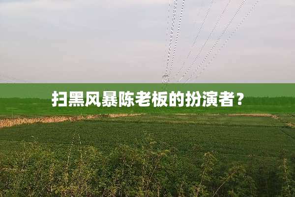 扫黑风暴陈老板的扮演者？