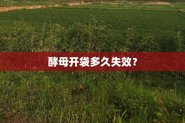 酵母开袋多久失效？