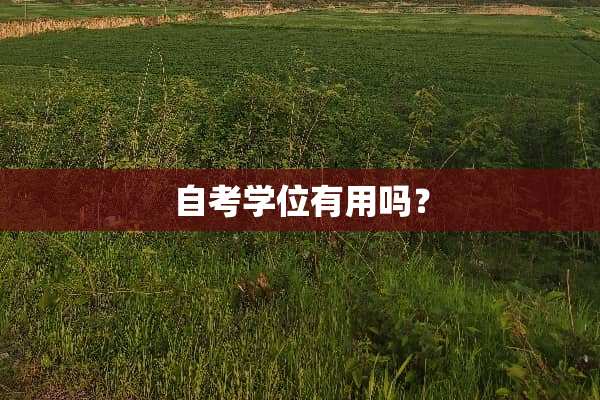 自考学位有用吗？