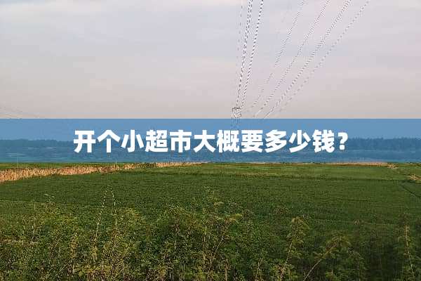 开个小超市大概要多少钱？