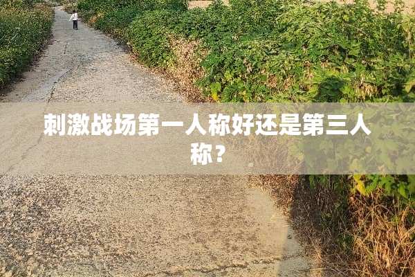 **战场第一人称好还是第三人称？