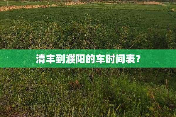 清丰到濮阳的车时间表？