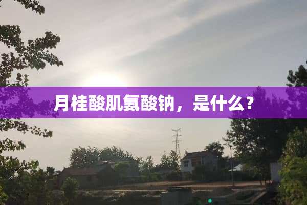 月桂酸肌氨酸钠，是什么？