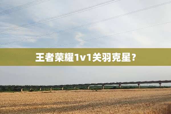 王者荣耀1v1关羽克星？