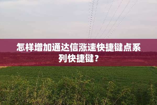 怎样增加通达信涨速快捷键点系列快捷键？