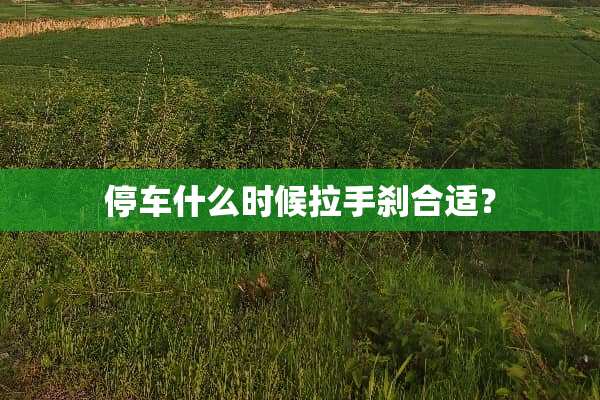 停车什么时候拉手刹合适？